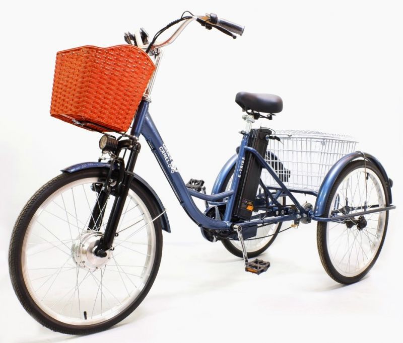 Электровелосипед GreenCamel Трайк-24 (R24 500W 48V 15Ah)(уценка,повреждения ЛКП) Электровелосипед GreenCamel Трайк-24 (R24 500W 48V 15Ah)(уценка,повреждения ЛКП)